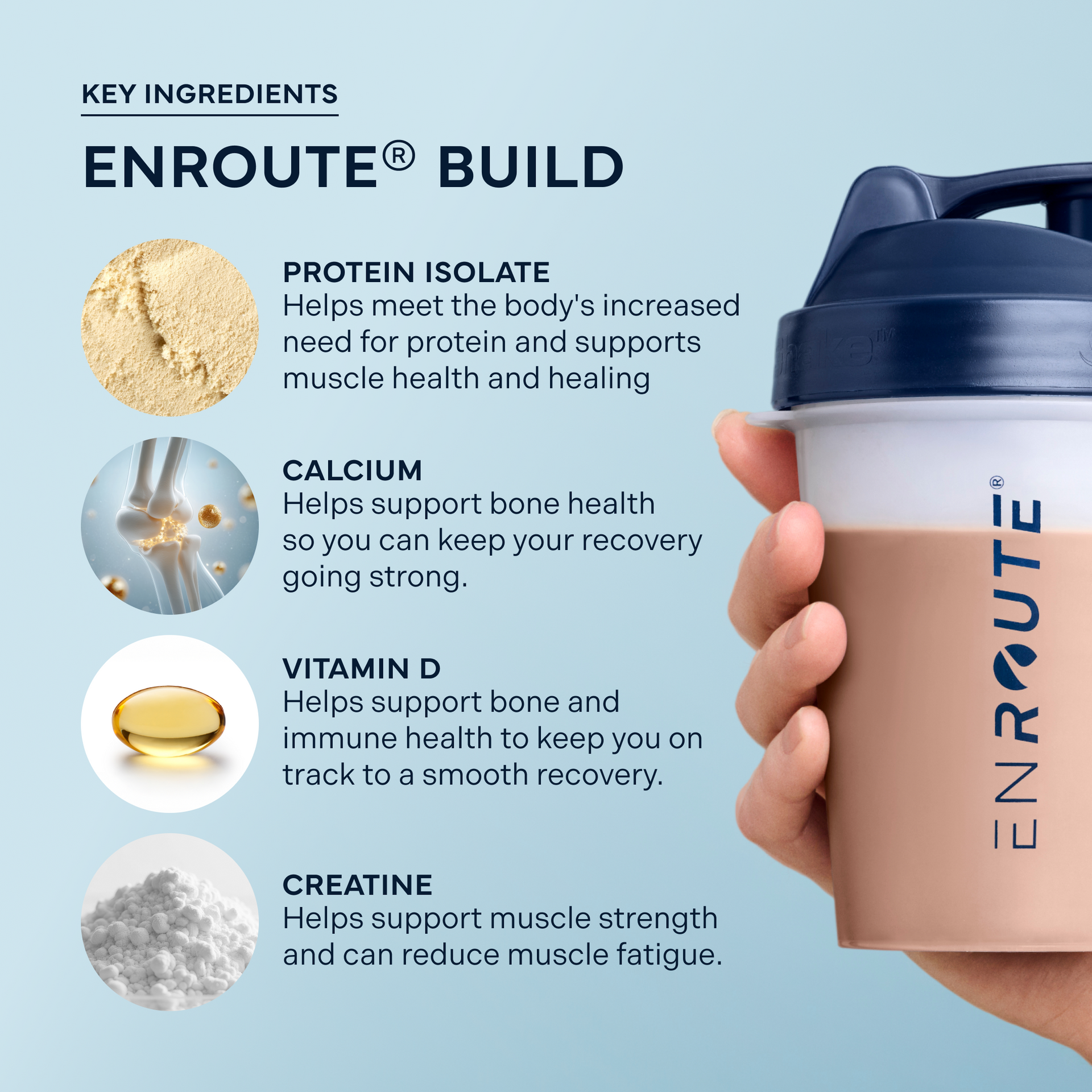 ENROUTE® Key Ingredients: Protein Isolate, Calcium, Vitamin D, and Creatine