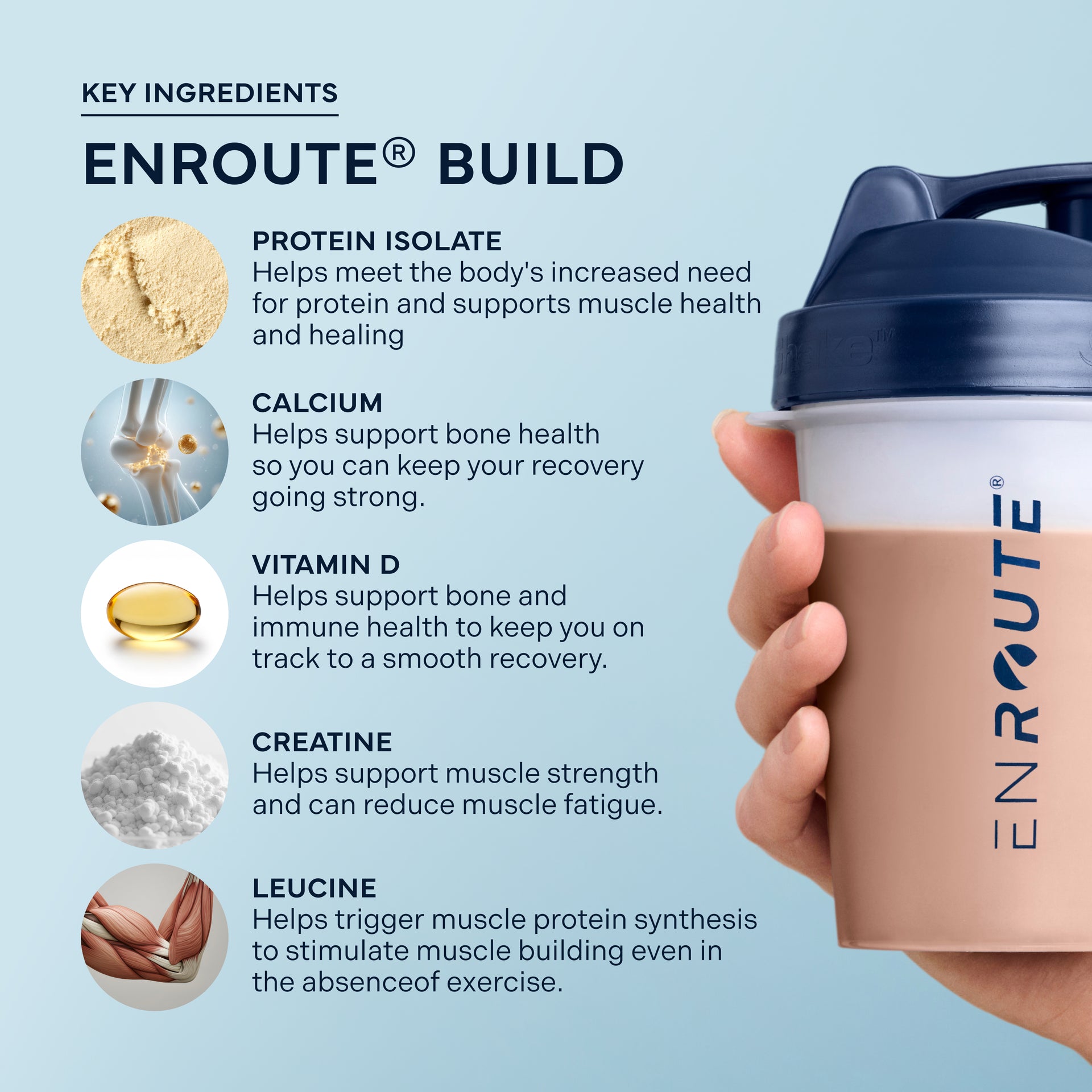 ENROUTE® Key Ingredients: Protein Isolate, Calcium, Vitamin D, and Creatine