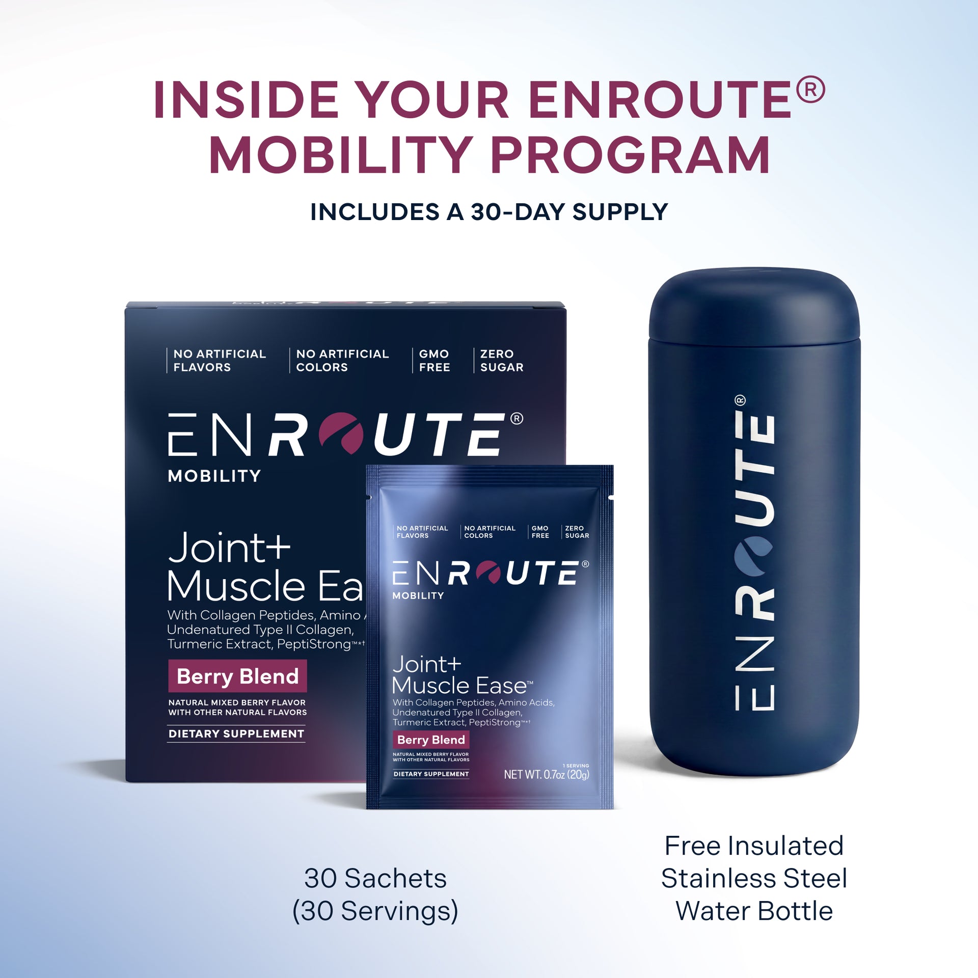 ENROUTE® MOBILITY